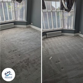 Ascend Professional Cleaners Carpet before and after