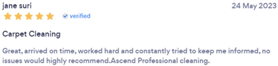 Ascend Professional Cleaners review 5