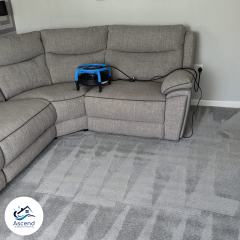 carpet cleaning Crosby